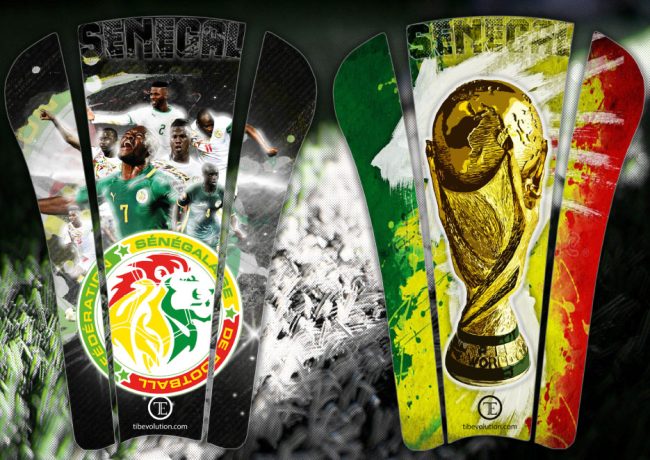 Coupe du monde 2018 Moussa Sow de l'équipe nationale du Sénégal
